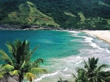Praia do Bonete vista do alto, com coqueiros e mar verde