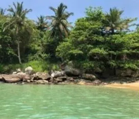 Praia da Fome com coqueiros e água verde